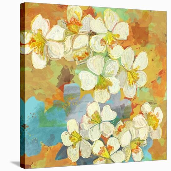 Floral - Rainblow-The Saturday Evening Post-Stretched Canvas