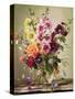 Floral Rapture-Albert Williams-Stretched Canvas