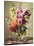 Floral Rapture-Albert Williams-Stretched Canvas