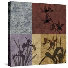 Floral Refrain II-Keith Mallett-Stretched Canvas