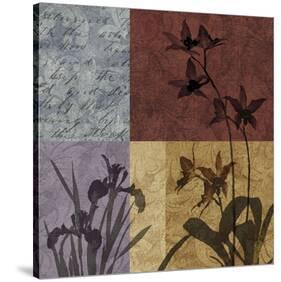 Floral Refrain II-Keith Mallett-Stretched Canvas