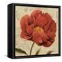 Floral Romance II C-Lisa Audit-Framed Stretched Canvas