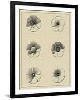 Floral Rosette I-Vision Studio-Framed Art Print