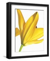 Floral Saturation I-Boyce Watt-Framed Giclee Print