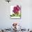 Floral Saturation II-Boyce Watt-Mounted Giclee Print displayed on a wall