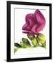 Floral Saturation II-Boyce Watt-Framed Giclee Print