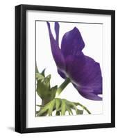 Floral Saturation III-Boyce Watt-Framed Giclee Print