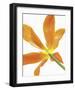 Floral Saturation IV-Boyce Watt-Framed Giclee Print