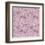 Floral Seamless-gollli-Framed Art Print