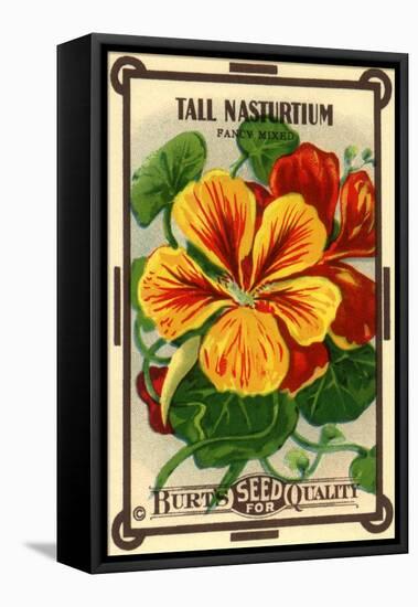 Floral Seed Packet-null-Framed Stretched Canvas