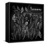 Floral Set on Chalkboard-klepsidra-Framed Stretched Canvas