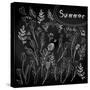 Floral Set on Chalkboard-klepsidra-Stretched Canvas