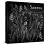 Floral Set on Chalkboard-klepsidra-Stretched Canvas