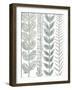 Floral Shades of Gray II-Elizabeth Medley-Framed Art Print