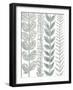 Floral Shades of Gray II-Elizabeth Medley-Framed Art Print