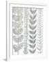 Floral Shades of Gray II-Elizabeth Medley-Framed Art Print