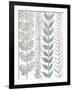 Floral Shades of Gray II-Elizabeth Medley-Framed Art Print