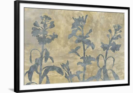 Floral Shadow-Tania Bello-Framed Giclee Print