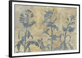 Floral Shadow-Tania Bello-Framed Giclee Print