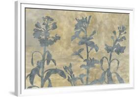 Floral Shadow-Tania Bello-Framed Giclee Print