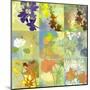 Floral Shadows-9 Patch-Jan Weiss-Mounted Art Print