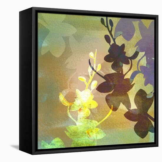 Floral Shadows-Jan Weiss-Framed Stretched Canvas