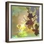 Floral Shadows-Jan Weiss-Framed Art Print