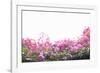 Floral Shrubs-Karyn Millet-Framed Photographic Print