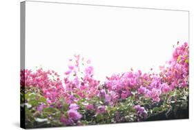 Floral Shrubs-Karyn Millet-Stretched Canvas