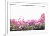 Floral Shrubs-Karyn Millet-Framed Photographic Print
