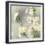 Floral - Silver-The Saturday Evening Post-Framed Giclee Print