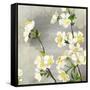 Floral - Silver-The Saturday Evening Post-Framed Stretched Canvas