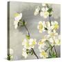Floral - Silver-The Saturday Evening Post-Stretched Canvas