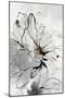 Floral Sketch I-Asia Jensen-Mounted Art Print