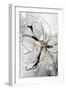 Floral Sketch II-Asia Jensen-Framed Art Print