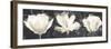 Floral Sketch Triptych-Malcolm Sanders-Framed Giclee Print