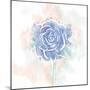 Floral Sketch Watercolor Rose-OnRei-Mounted Art Print