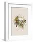 Floral Skull-Frida Floral Studio-Framed Photographic Print