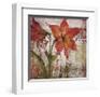 Floral Song - Harmony-Patrick-Framed Giclee Print