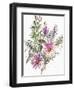 Floral, South African daisies and lavander, 2004-Claudia Hutchins-Puechavy-Framed Giclee Print