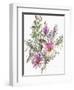 Floral, South African daisies and lavander, 2004-Claudia Hutchins-Puechavy-Framed Giclee Print