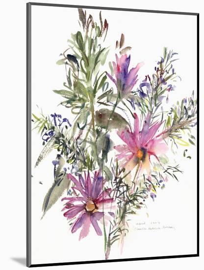 Floral, South African daisies and lavander, 2004-Claudia Hutchins-Puechavy-Mounted Giclee Print