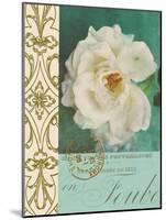 Floral Souvenir 1-Cristin Atria-Mounted Art Print