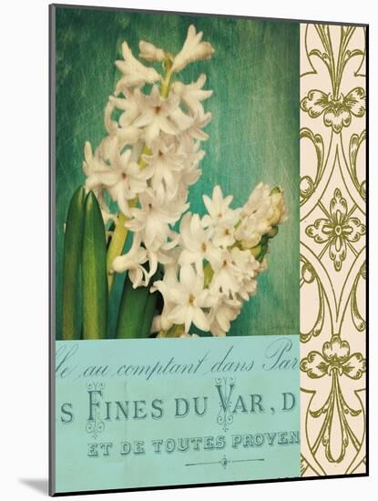 Floral Souvenir 2-Cristin Atria-Mounted Art Print