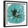 Floral Splash-Jean Picton-Framed Giclee Print