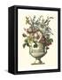 Floral Splendor I-Piranesi Giovanni-Framed Stretched Canvas