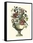 Floral Splendor II-Piranesi Giovanni-Framed Stretched Canvas