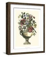 Floral Splendor II-Piranesi Giovanni-Framed Art Print