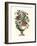 Floral Splendor II-Piranesi Giovanni-Framed Art Print