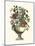 Floral Splendor II-Piranesi Giovanni-Mounted Art Print